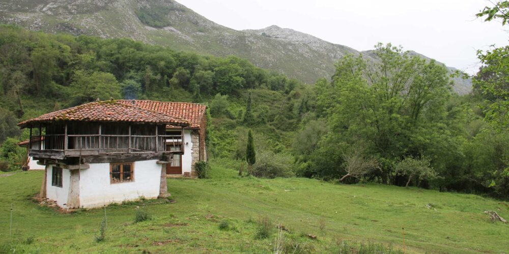 proyecto resoplon asturias reforma interiorismo